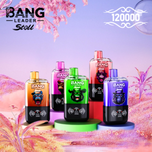 Bang Leader 120K Dual Flavor Disposable Vape – 120,000 Puffs | 2-in-1
