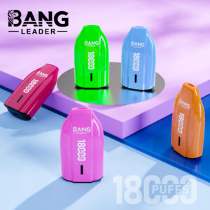 Bang Leader 18K Single Flavor Disposable Vape – 18,000 Puffs