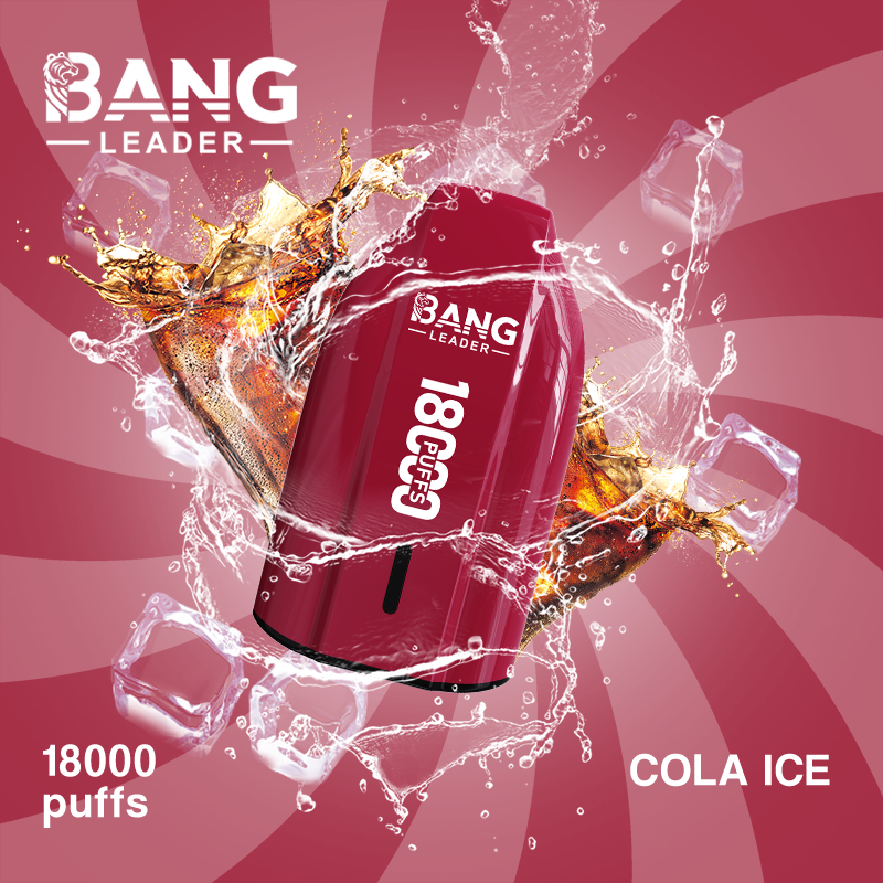 Bang Leader 18K Single Flavor Disposable Vape – 18,000 Puffs - Image 5