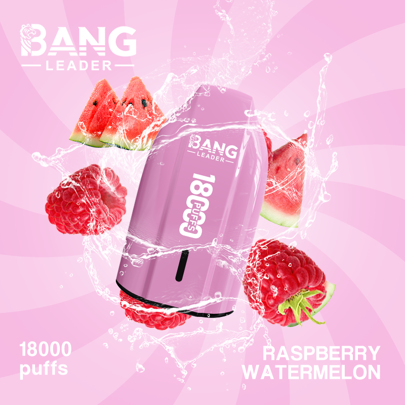 Bang Leader 18K Single Flavor Disposable Vape – 18,000 Puffs - Image 3