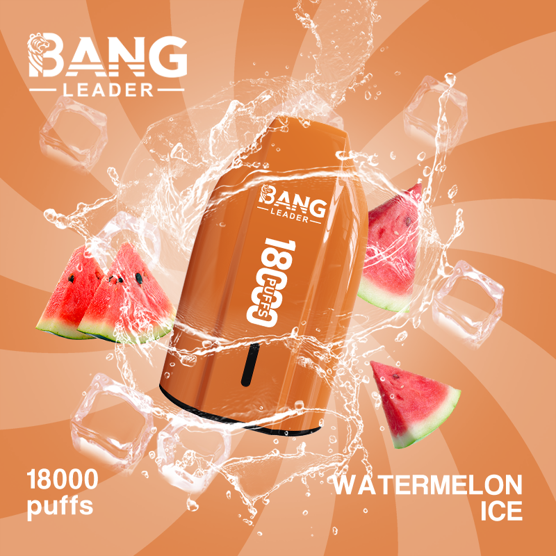 Bang Leader 18K Single Flavor Disposable Vape – 18,000 Puffs - Image 2