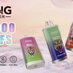 Bang Leader 20K Single Flavor Disposable Vape – 20,000 Puffs