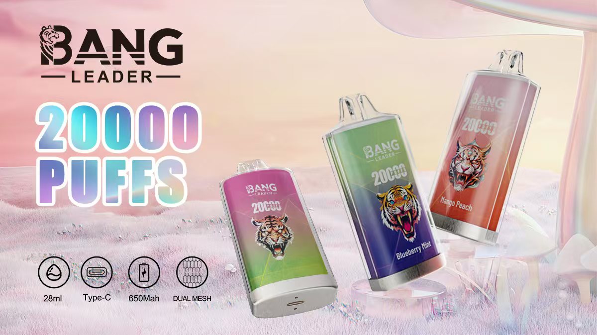 Bang Leader 20K Single Flavor Disposable Vape – 20,000 Puffs