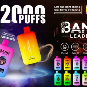Bang Leader 32K Dual Flavor Disposable Vape – 32,000 Puffs | 2-in-1