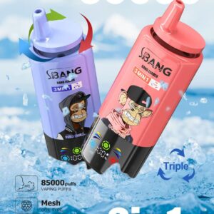 Bang Leader 85K Triple Flavor Disposable Vape – 85,000 Puffs | 3-in-1